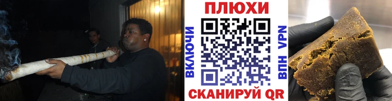 купить Аркадак ГАШ Premium