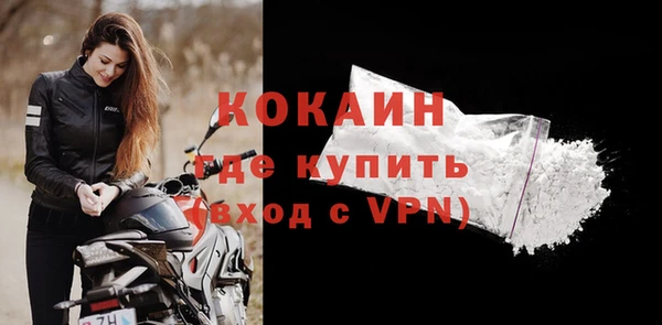 ГАЛЛЮЦИНОГЕННЫЕ ГРИБЫ Осинники
