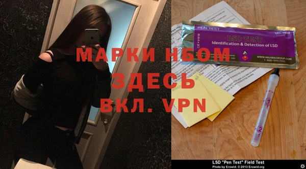 ГАЛЛЮЦИНОГЕННЫЕ ГРИБЫ Осинники