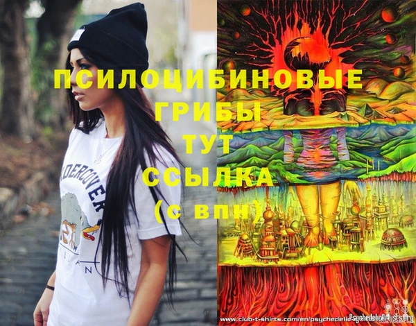 первитин Шарыпово