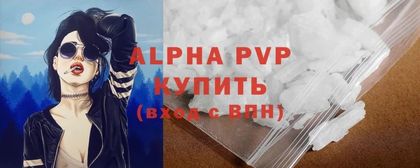 ГАЛЛЮЦИНОГЕННЫЕ ГРИБЫ Осинники